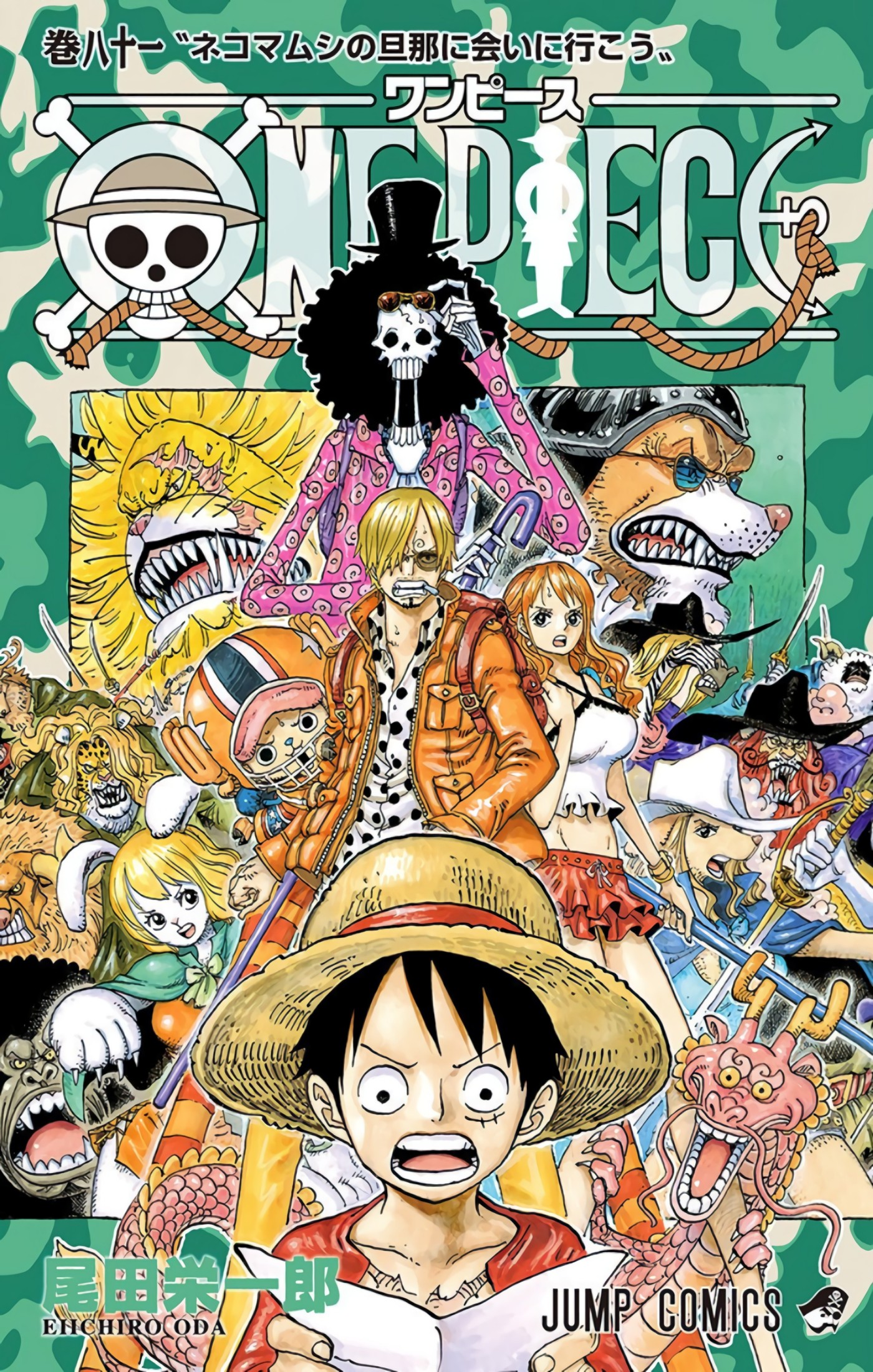 One Piece Full Color Tomo 081