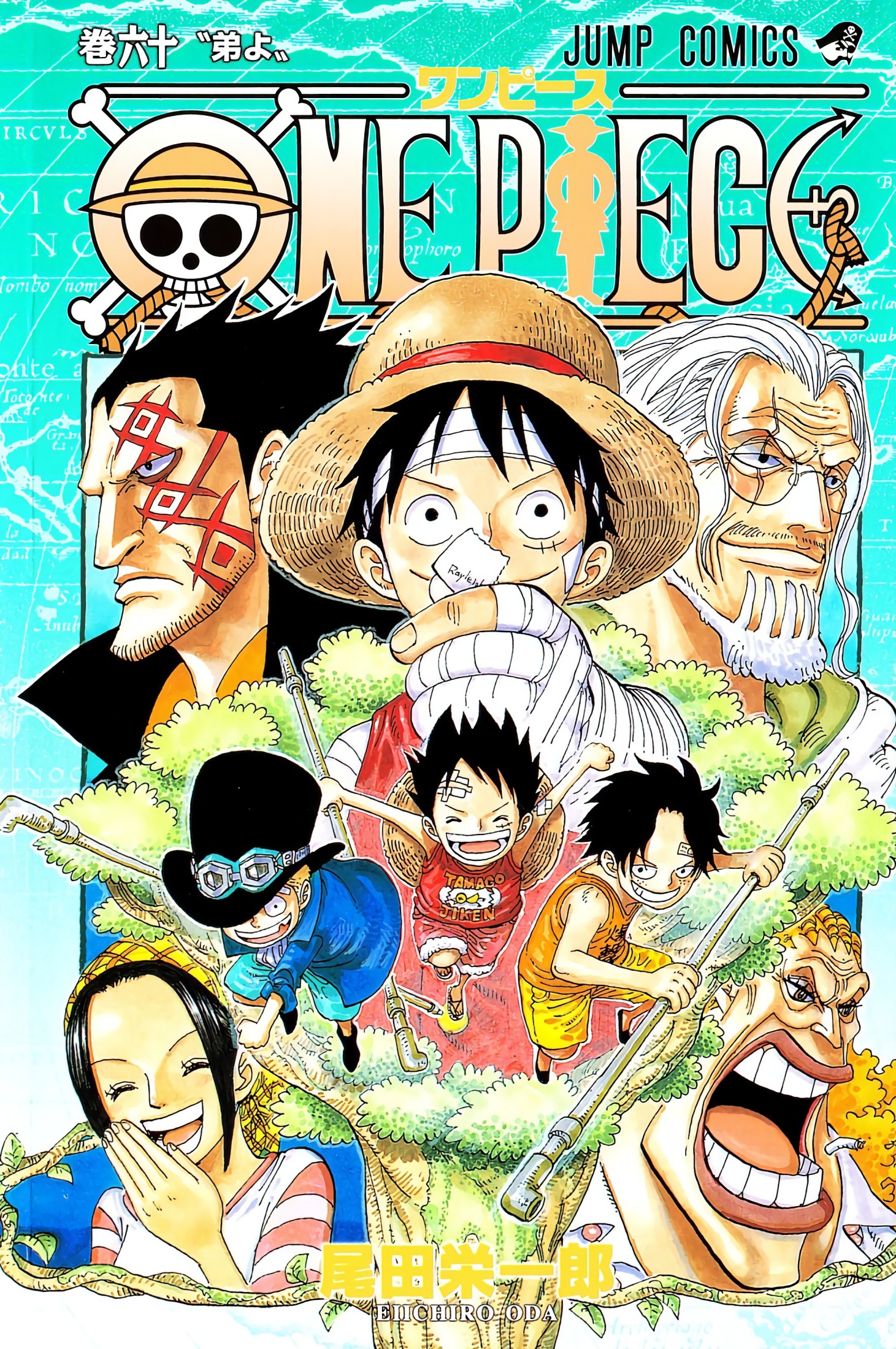 One Piece Full Color Tomo 060