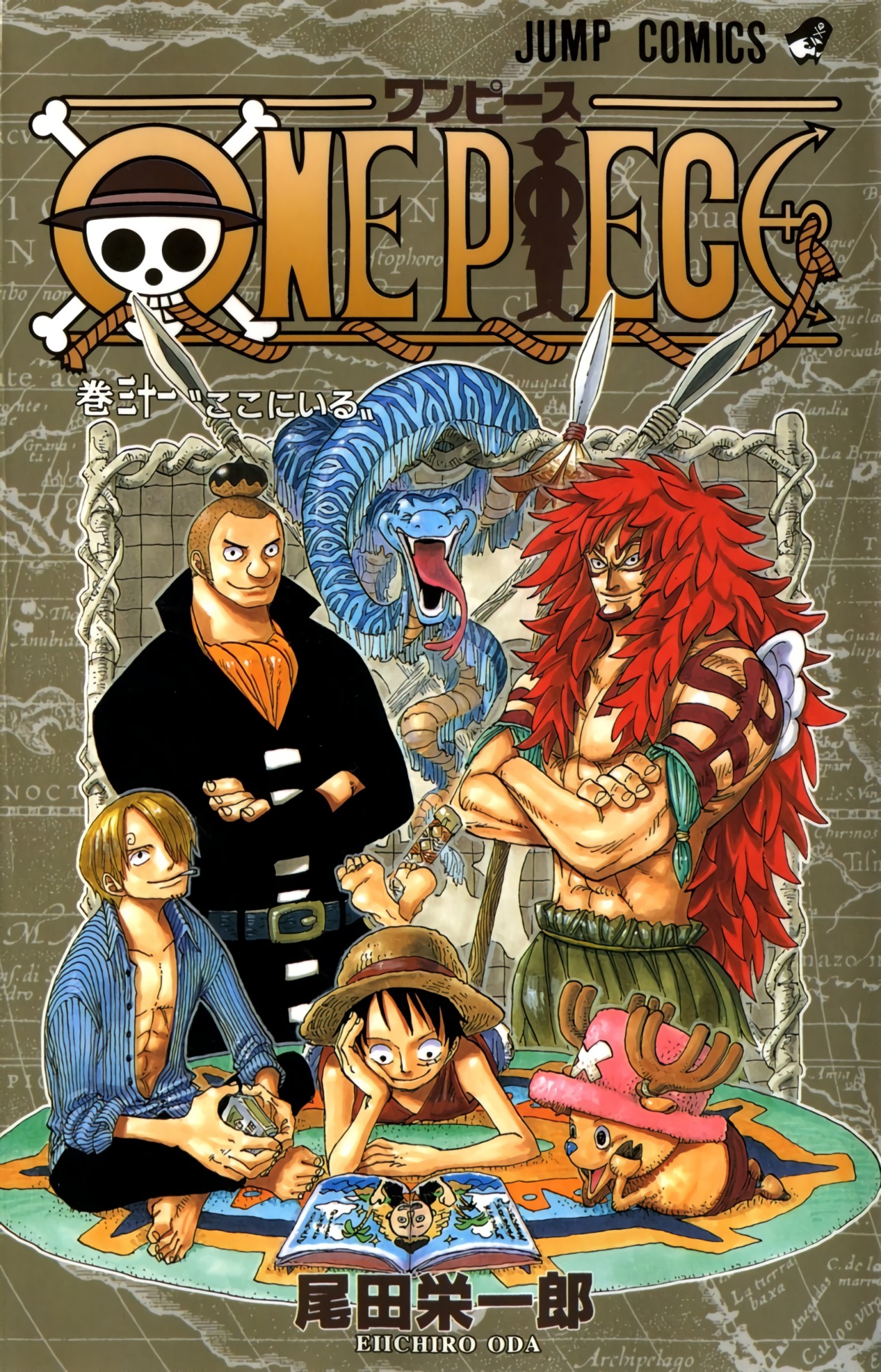 One Piece Full Color Tomo 031